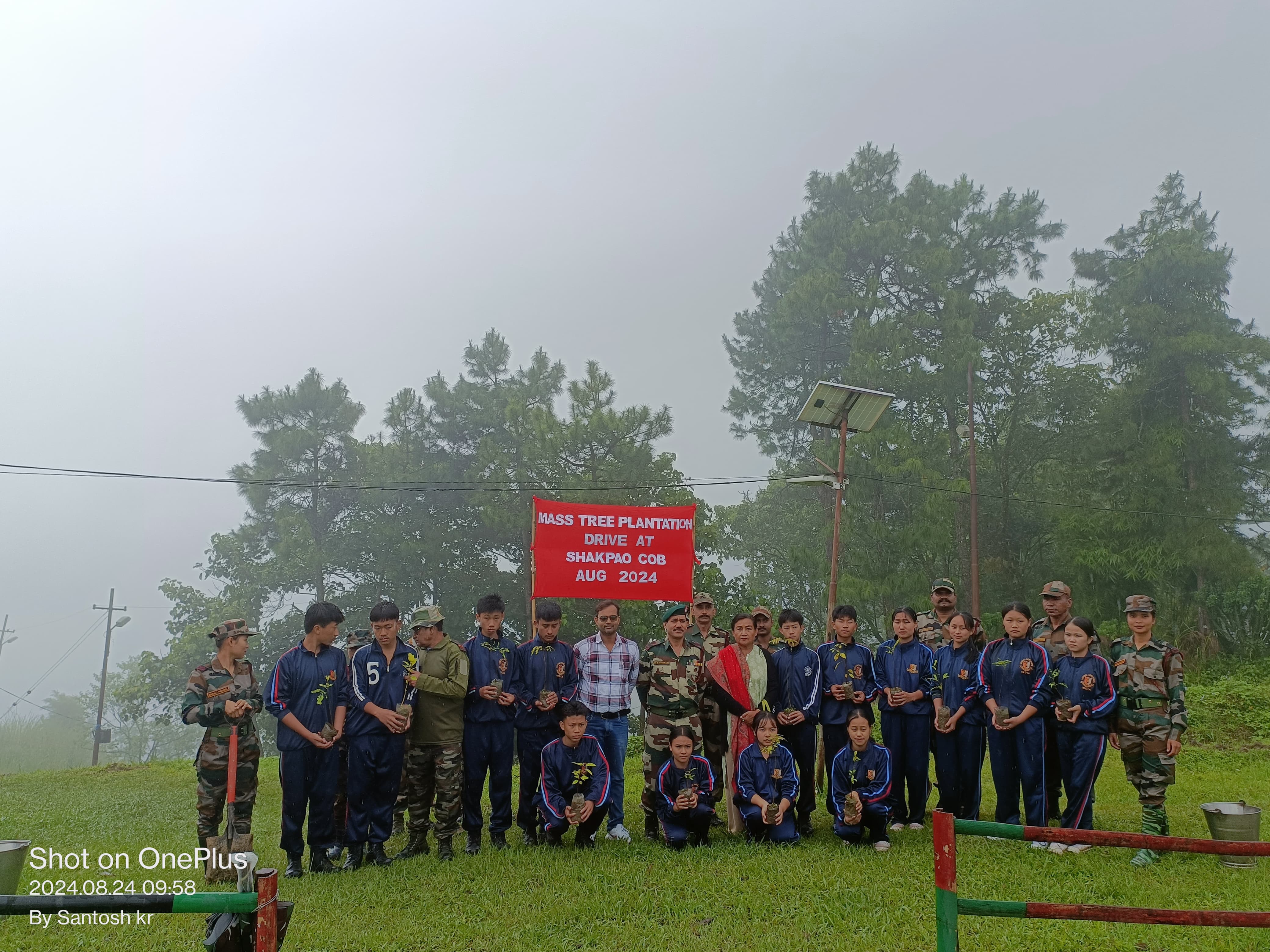 MASS TREE PLANTATION